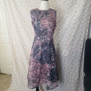 Beautiful Lace Dresa